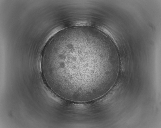 X0000112771227200908271634