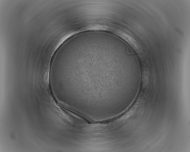 X0000112771228200908271634