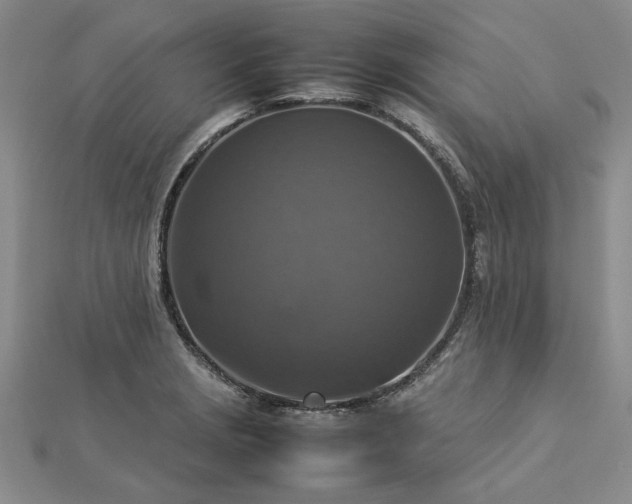 X0000112771229200908271634