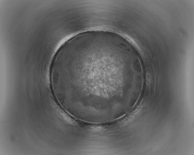 X0000112771230200908271634