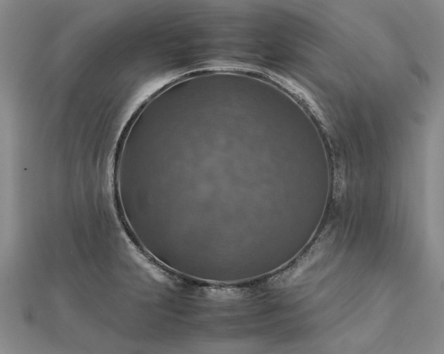 X0000112771231200908271634