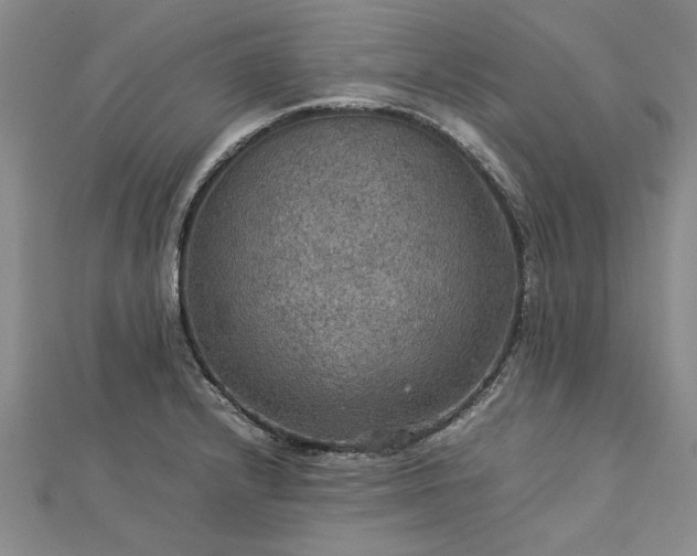 X0000112771232200908271634