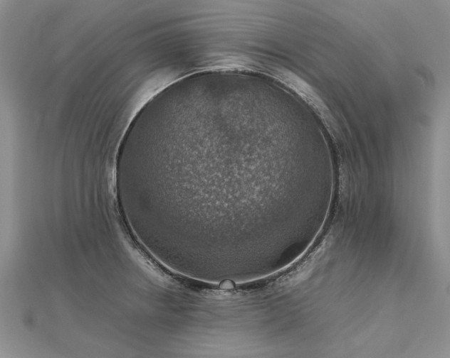 X0000112771234200908271634