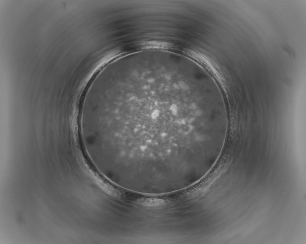 X0000112771235200908271634