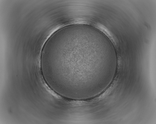 X0000112771236200908271634
