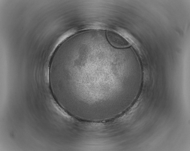 X0000112771238200908271634