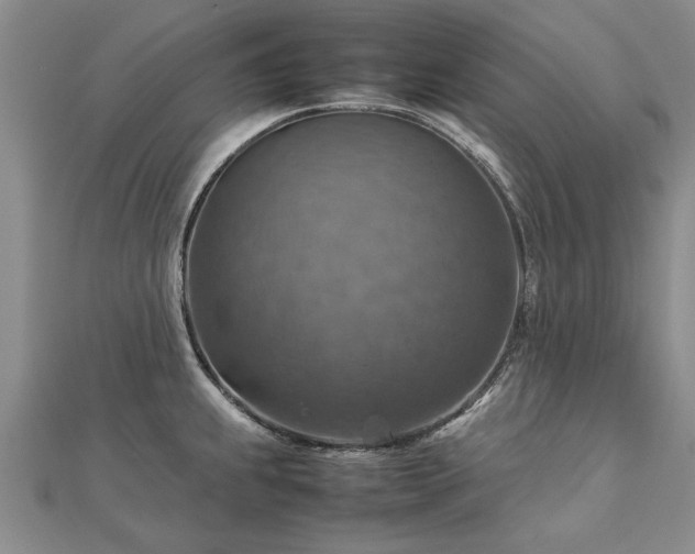 X0000112771239200908271634
