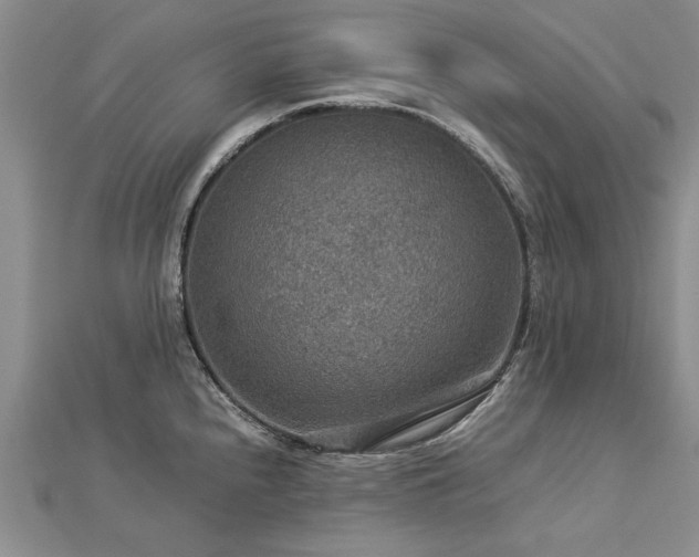 X0000112771240200908271634