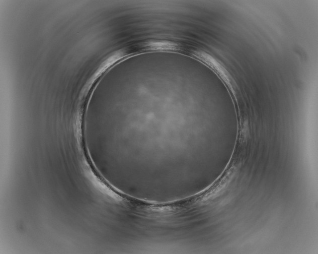 X0000112771243200908271634
