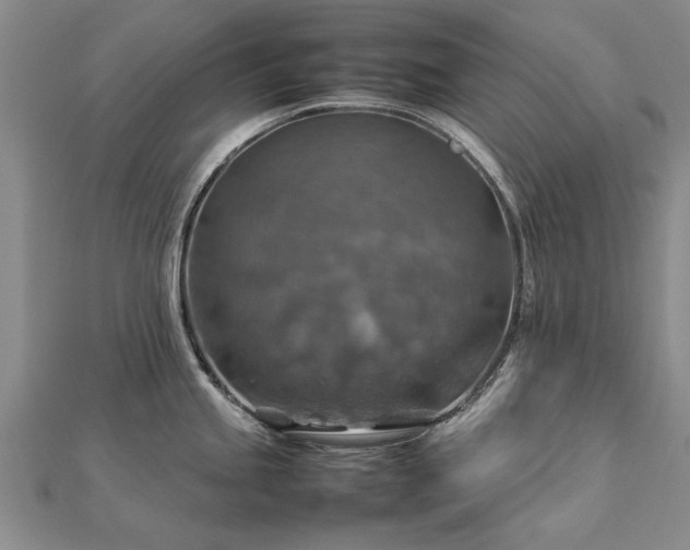 X0000112771245200908271634