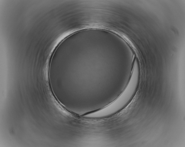 X0000112771246200908271634