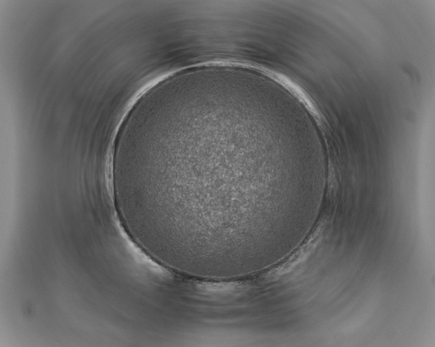 X0000112771247200908271634