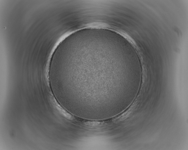 X0000112771248200908271634