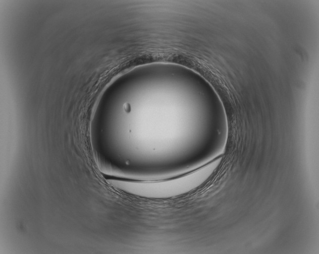 X0000112771249200908271634