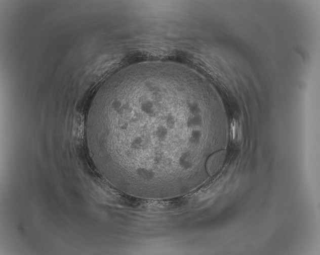 X0000112771251200908271634