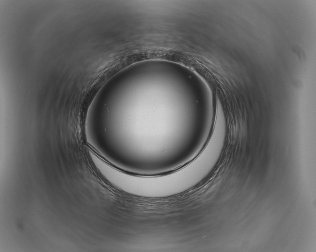 X0000112771252200908271634