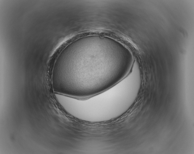 X0000112771256200908271634
