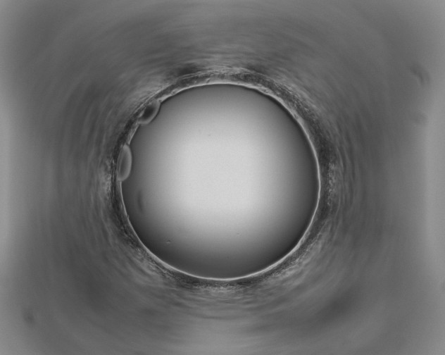 X0000112771257200908271633
