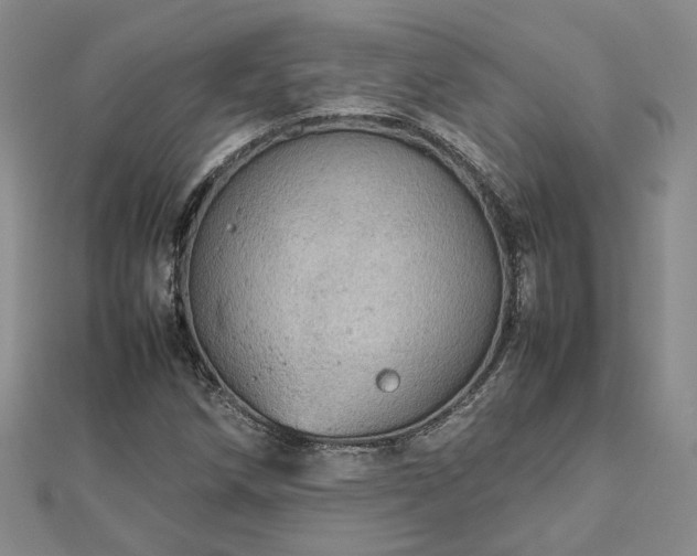 X0000112771258200908271633