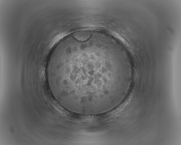 X0000112771259200908271633