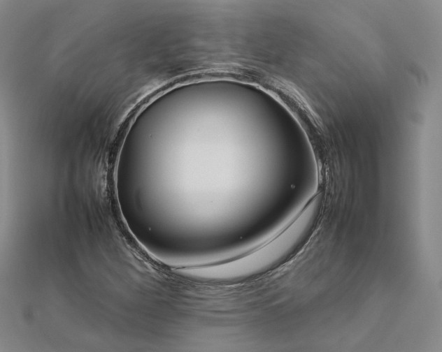 X0000112771260200908271633