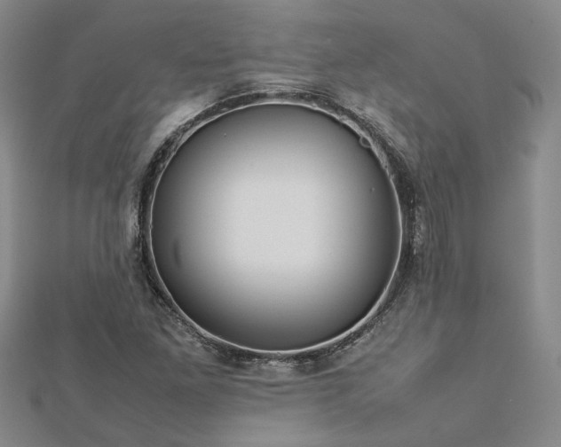 X0000112771261200908271633
