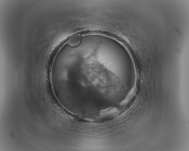 X0000112771263200908271633