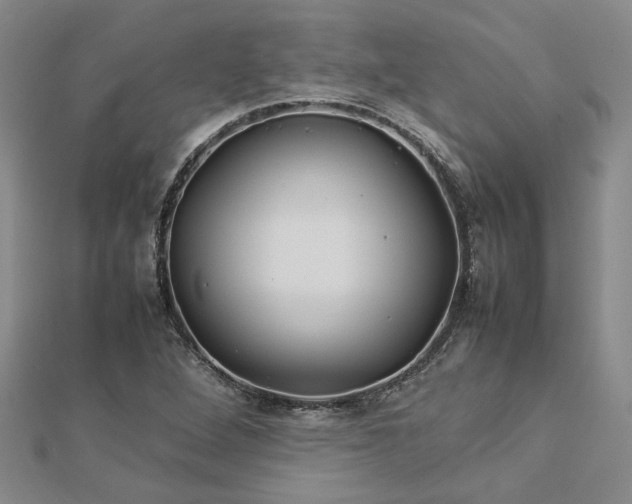 X0000112771264200908271633