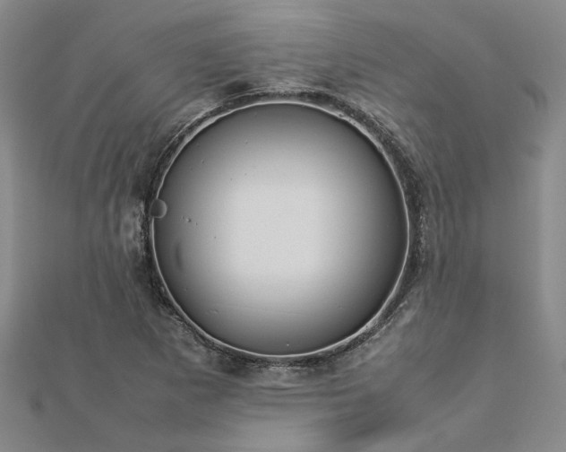 X0000112771265200908271633