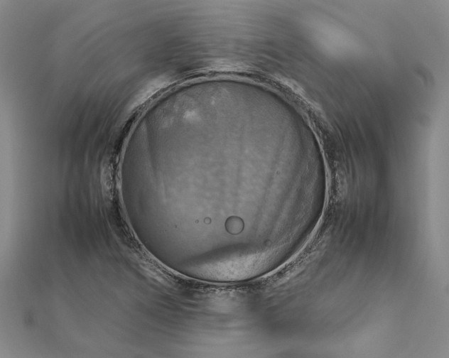 X0000112771266200908271633