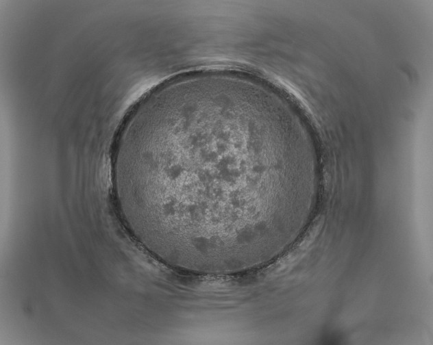 X0000112771267200908271633