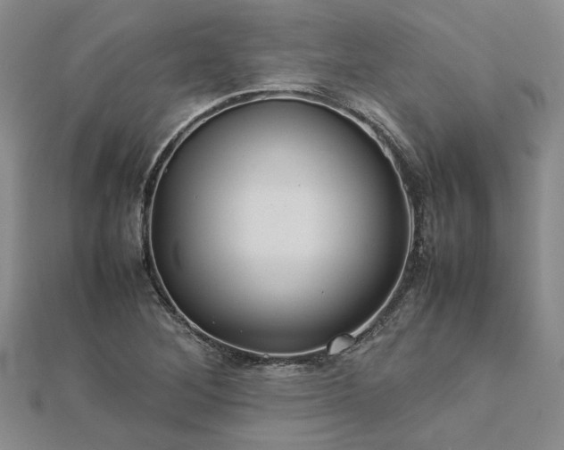 X0000112771268200908271633