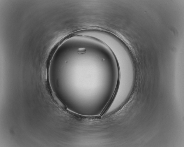 X0000112771269200908271633