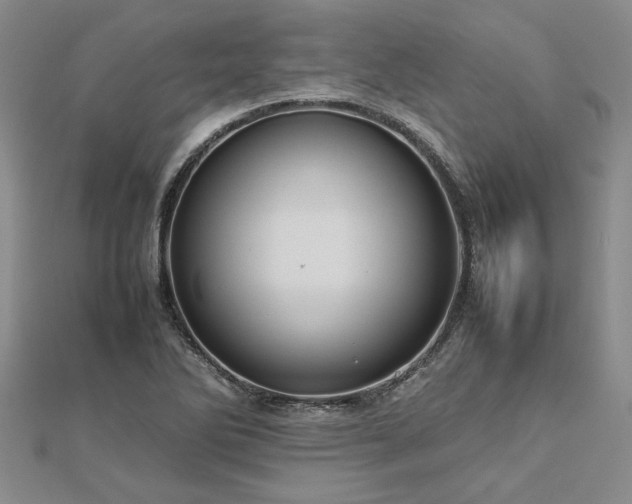X0000112771270200908271633