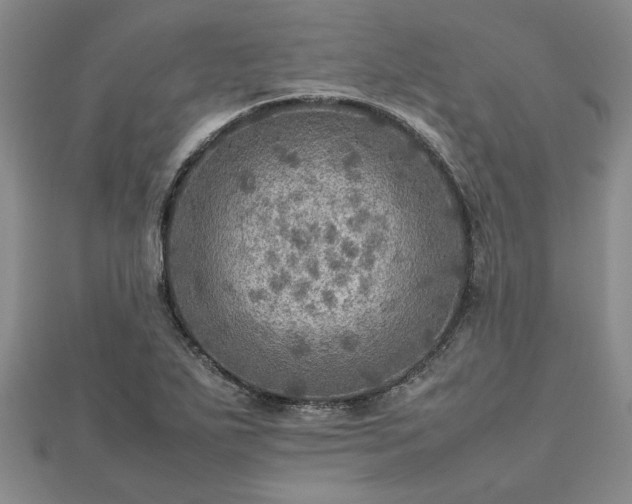 X0000112771271200908271633