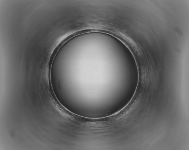 X0000112771272200908271633