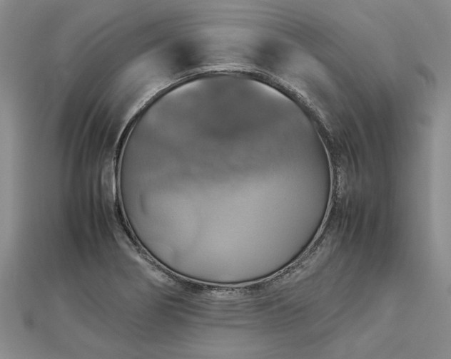 X0000112771274200908271633