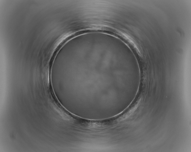 X0000112771275200908271633