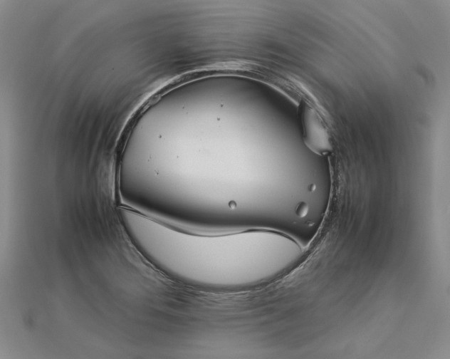 X0000112771276200908271633