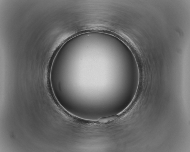 X0000112771277200908271633