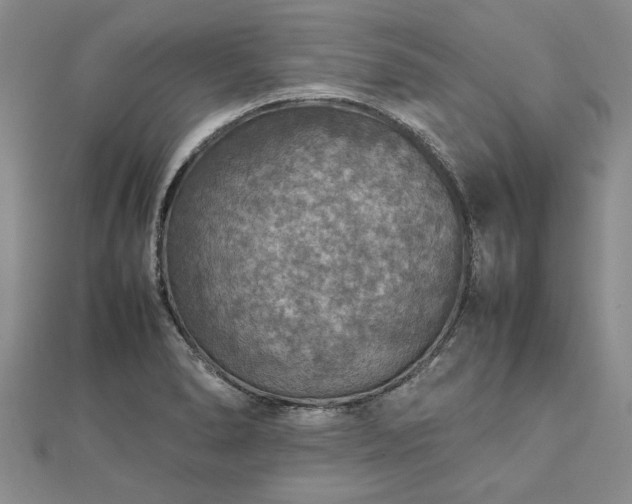 X0000112771278200908271633