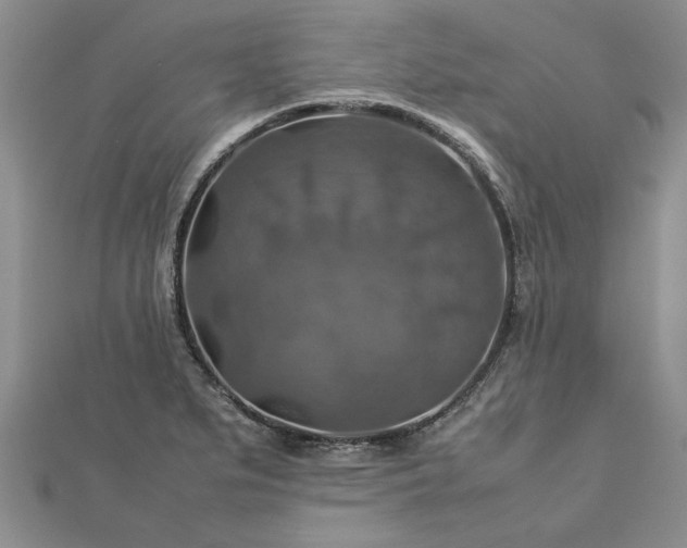 X0000112771279200908271633