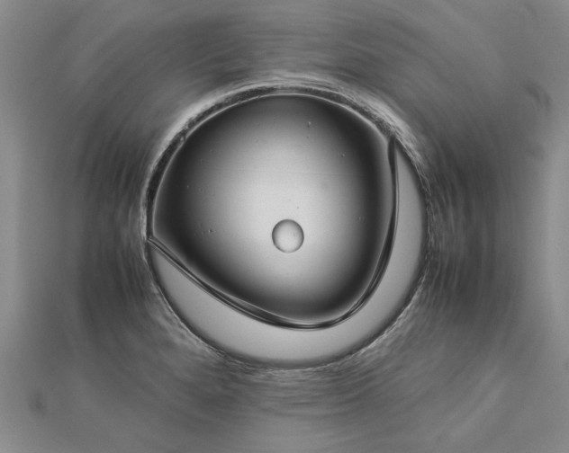 X0000112771280200908271633