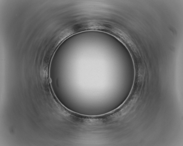X0000112771281200908271633