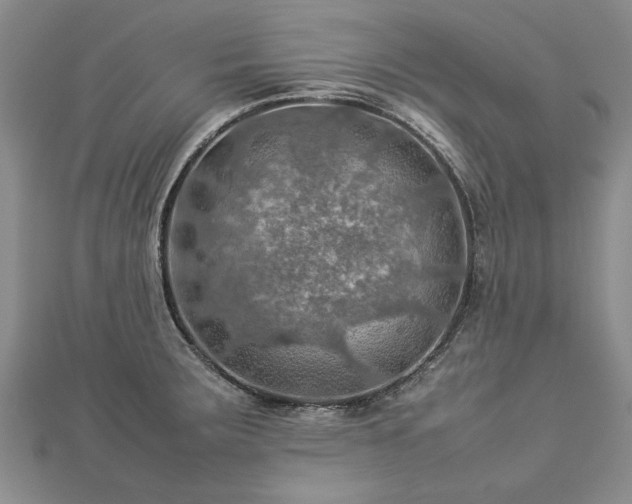 X0000112771283200908271633