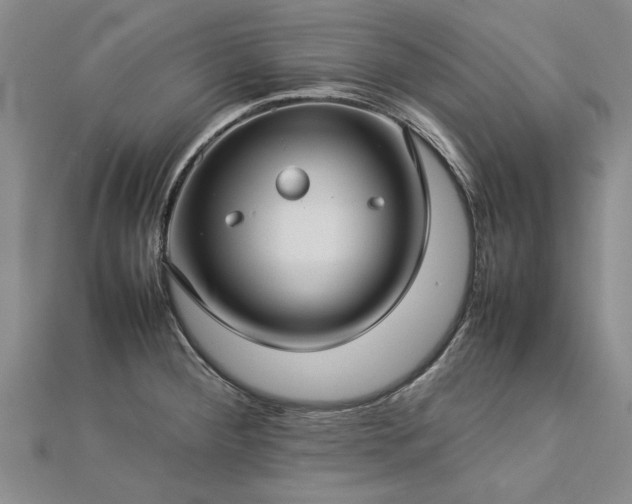 X0000112771284200908271633