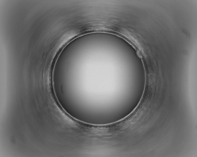 X0000112771285200908271633