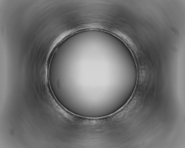 X0000112771286200908271633
