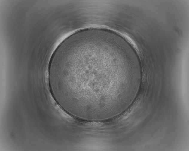 X0000112771287200908271633
