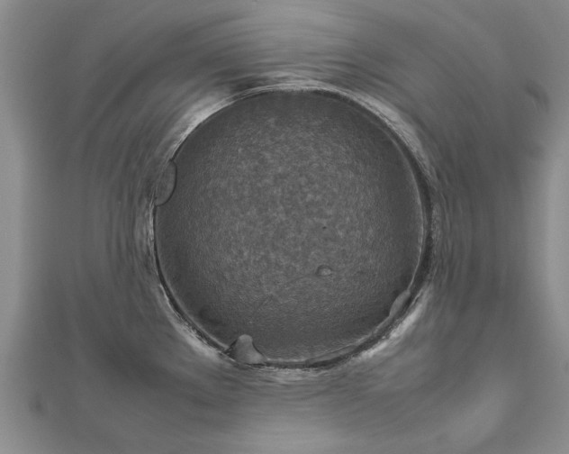 X0000112771289200908271633